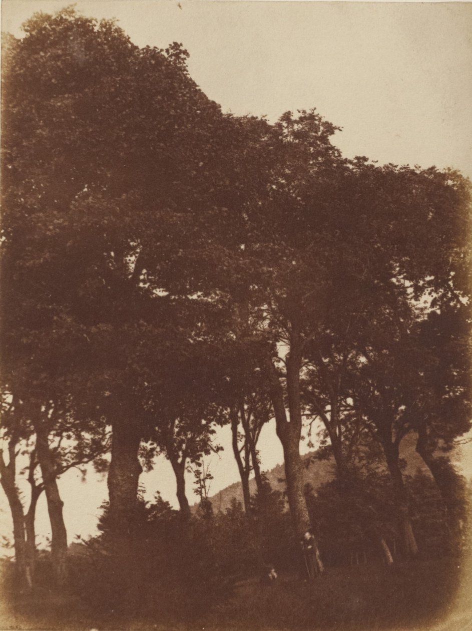[Pole w Bonaly] autorstwa Hill and Adamson
