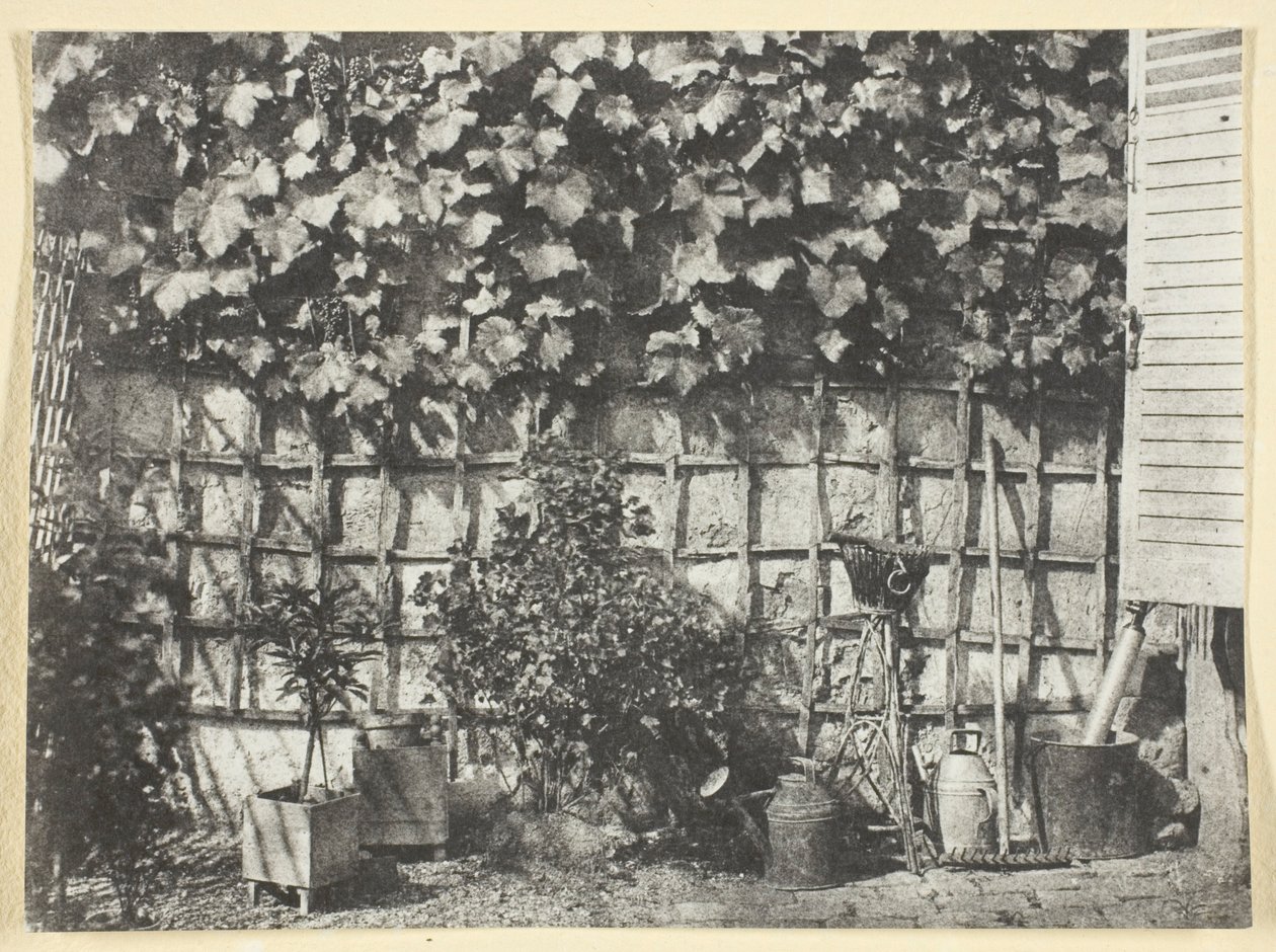 La Treille autorstwa Hippolyte Bayard