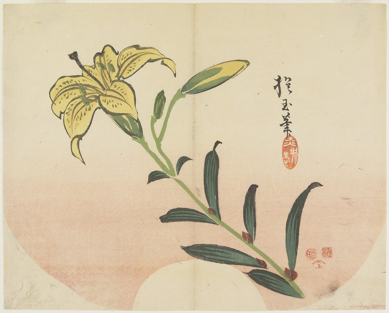 (Lilia), 1839 autorstwa Hogyoku