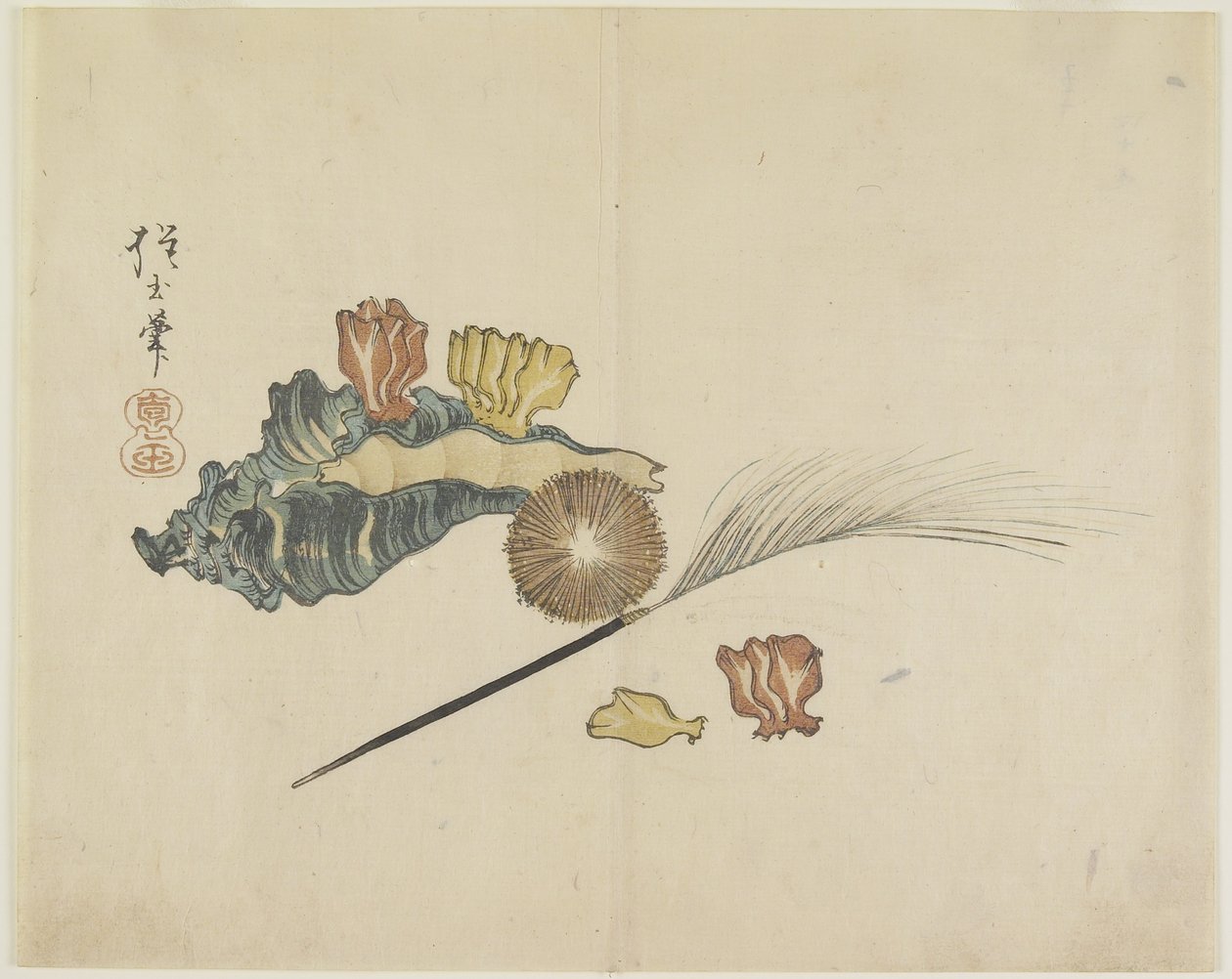 (Muszle), ok. 1830 autorstwa Hogyoku