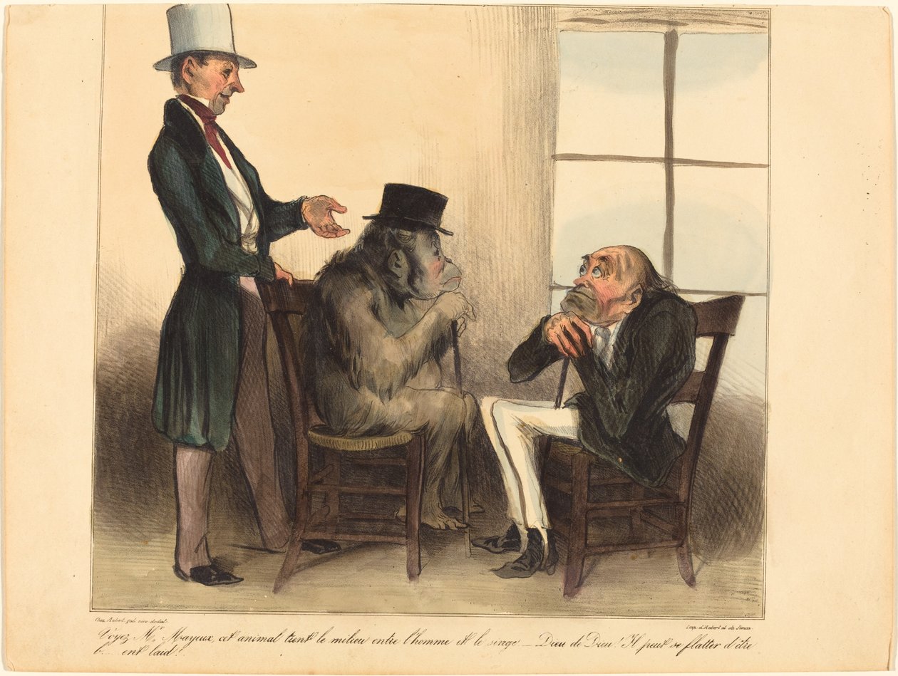 Widzi pan, panie Mayeux, to zwierzę... autorstwa Honoré Daumier