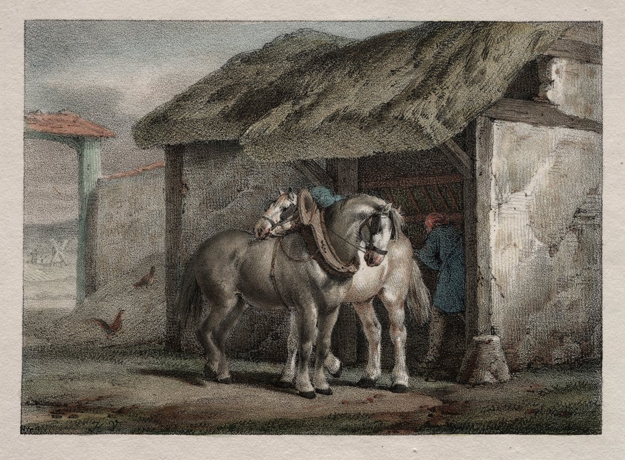 Koń hodowlany. autorstwa Emile Jean Horace Vernet