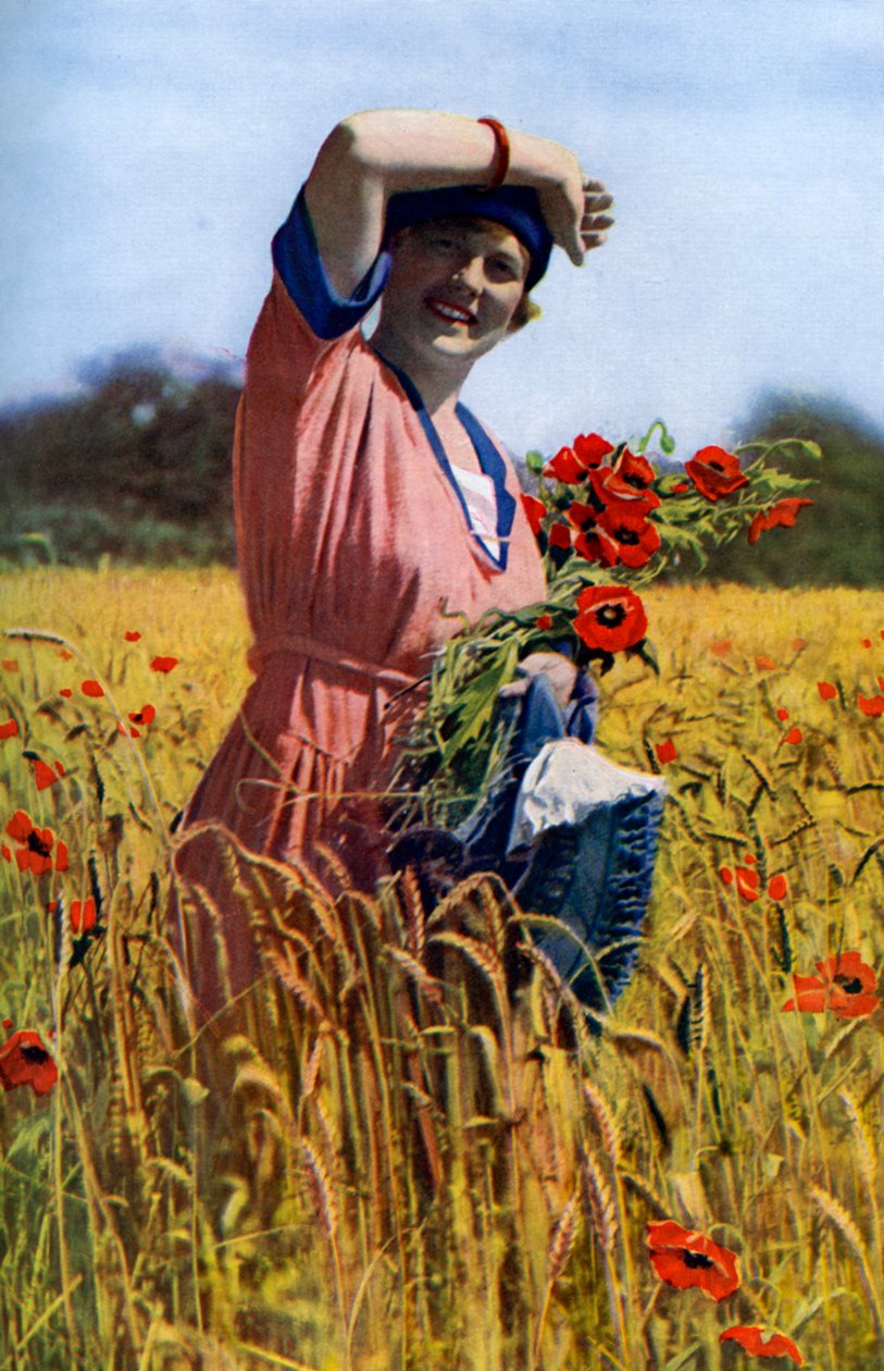 Róża angielska, ok. 1922 r. autorstwa Horace Walter Nicholls