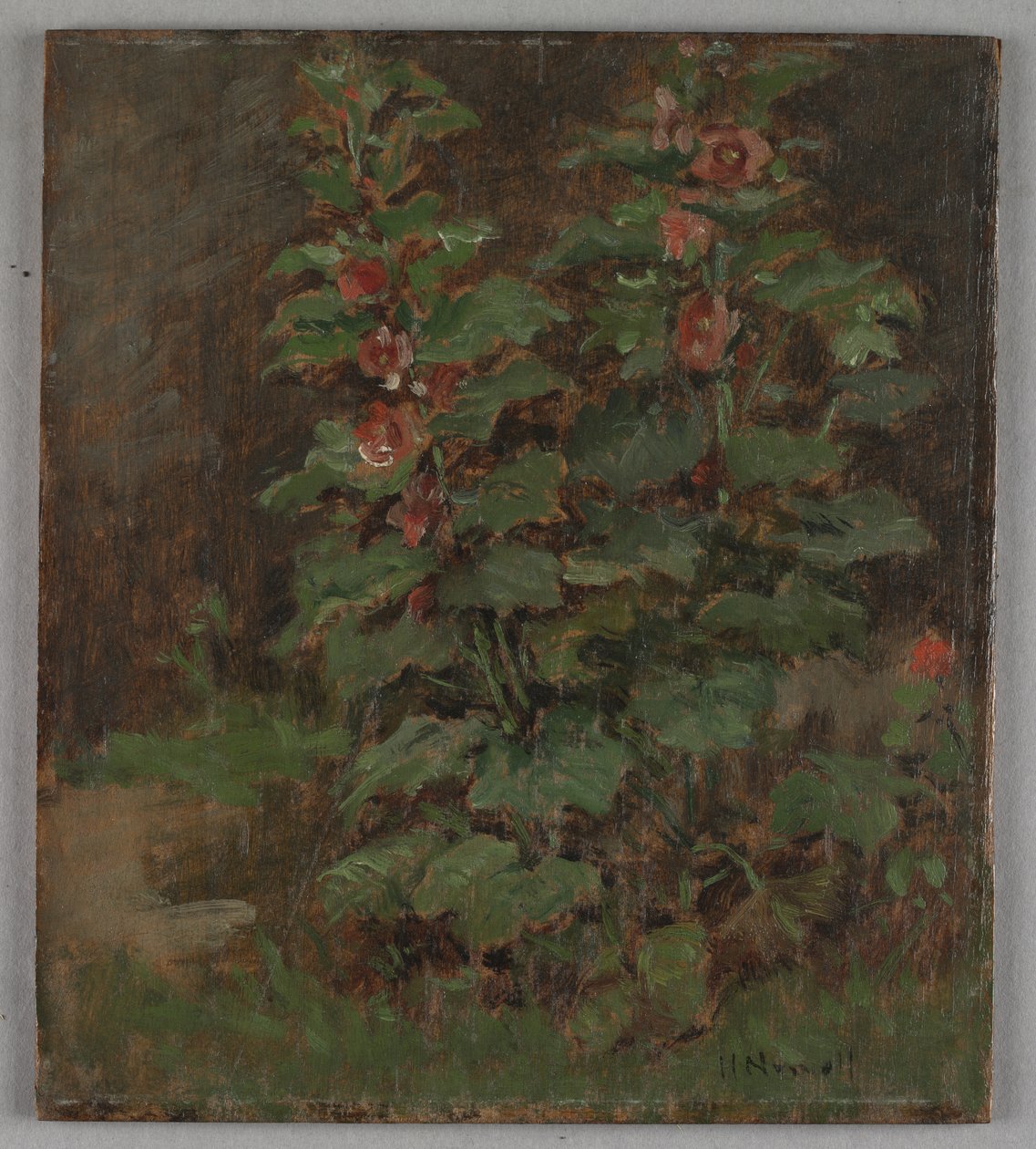 Kwiaty autorstwa Hugh Newell