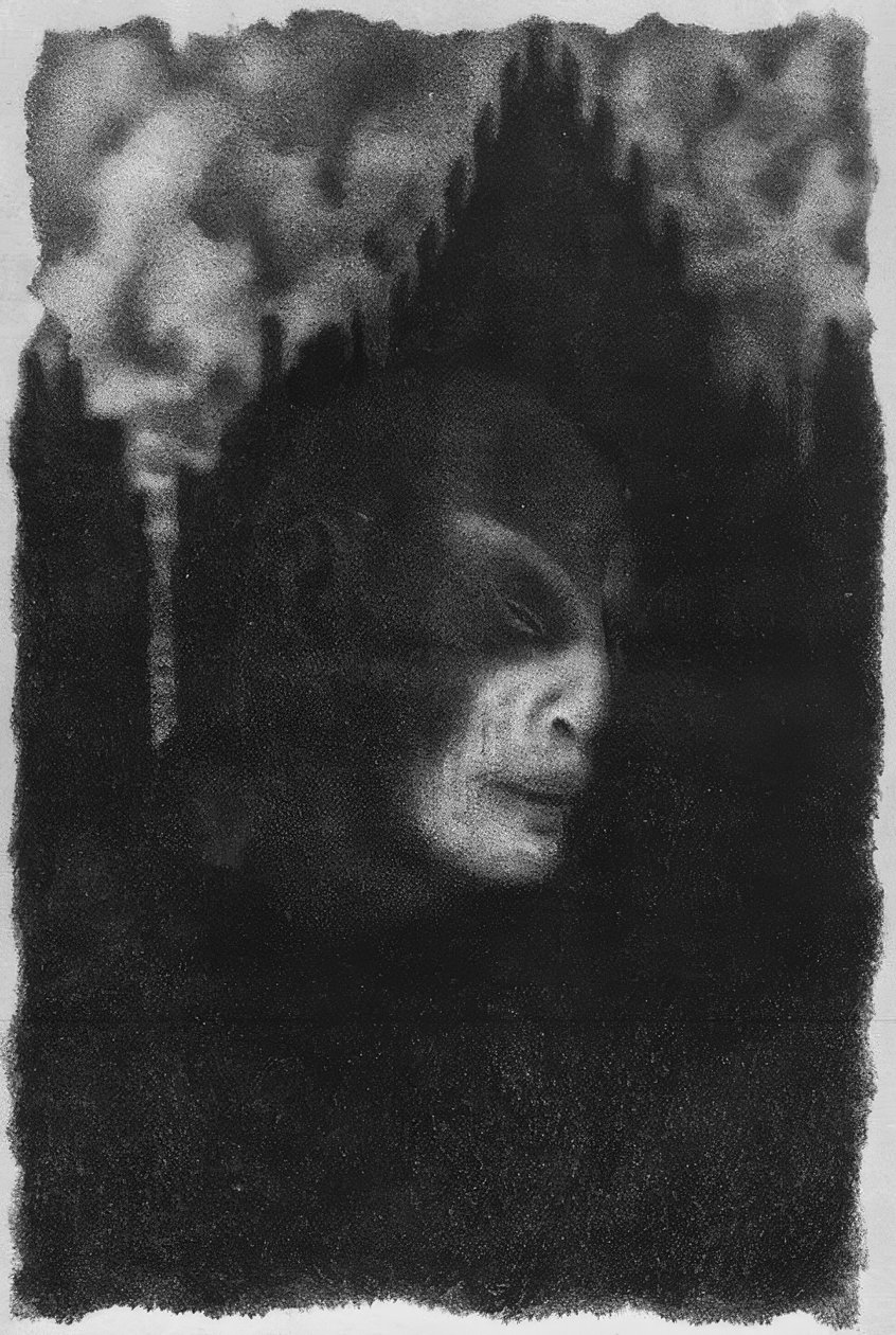 G. Meyrink, Der Golem / Ill. V. Steiner-Pr. autorstwa Hugo Steiner Prag