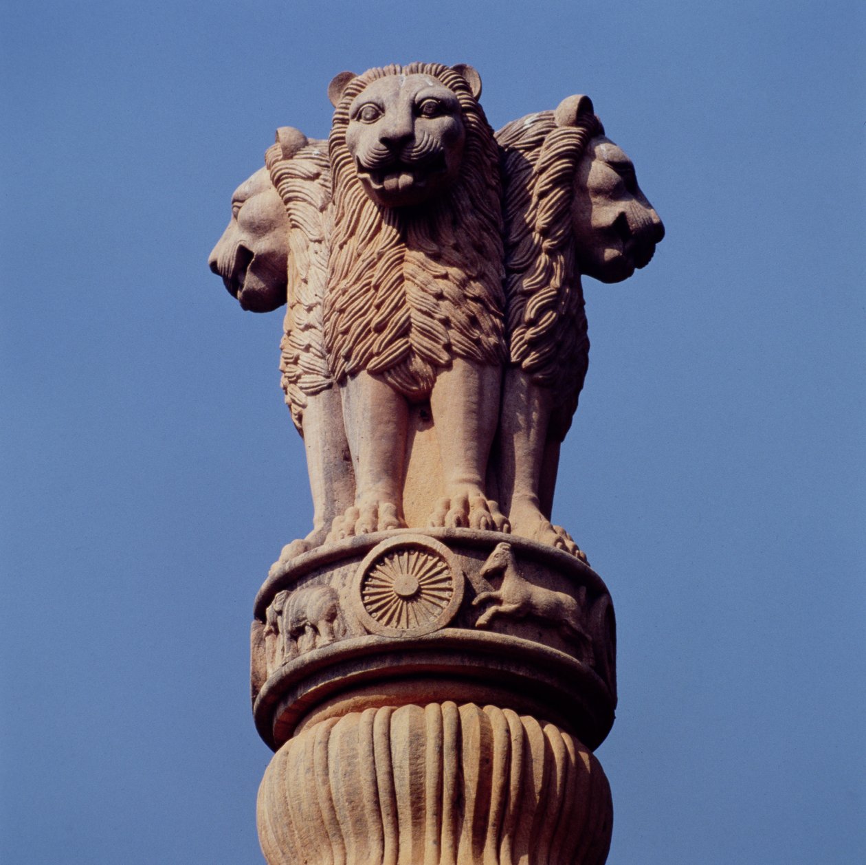 Detal z filaru Ashoki autorstwa Indian School