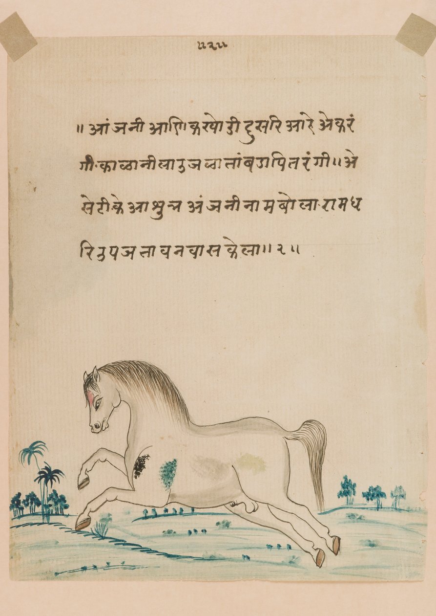 Koń (nieprzezroczyste wc na papierze) autorstwa Indian School