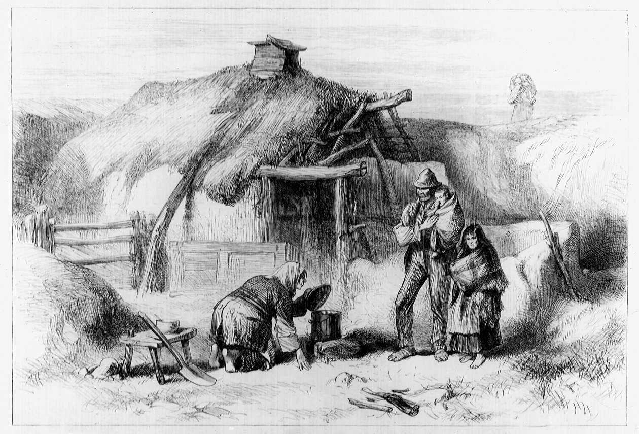 Bog-Trotters Cabin, z „The Illustrated London News” 1879 autorstwa Irish School