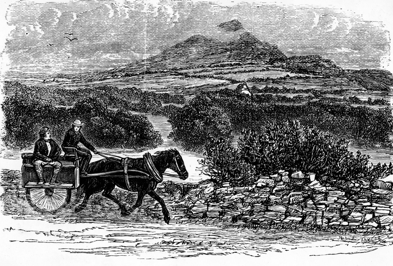 County Wicklow, grafika wykonana przez E. Taylor autorstwa Irish School