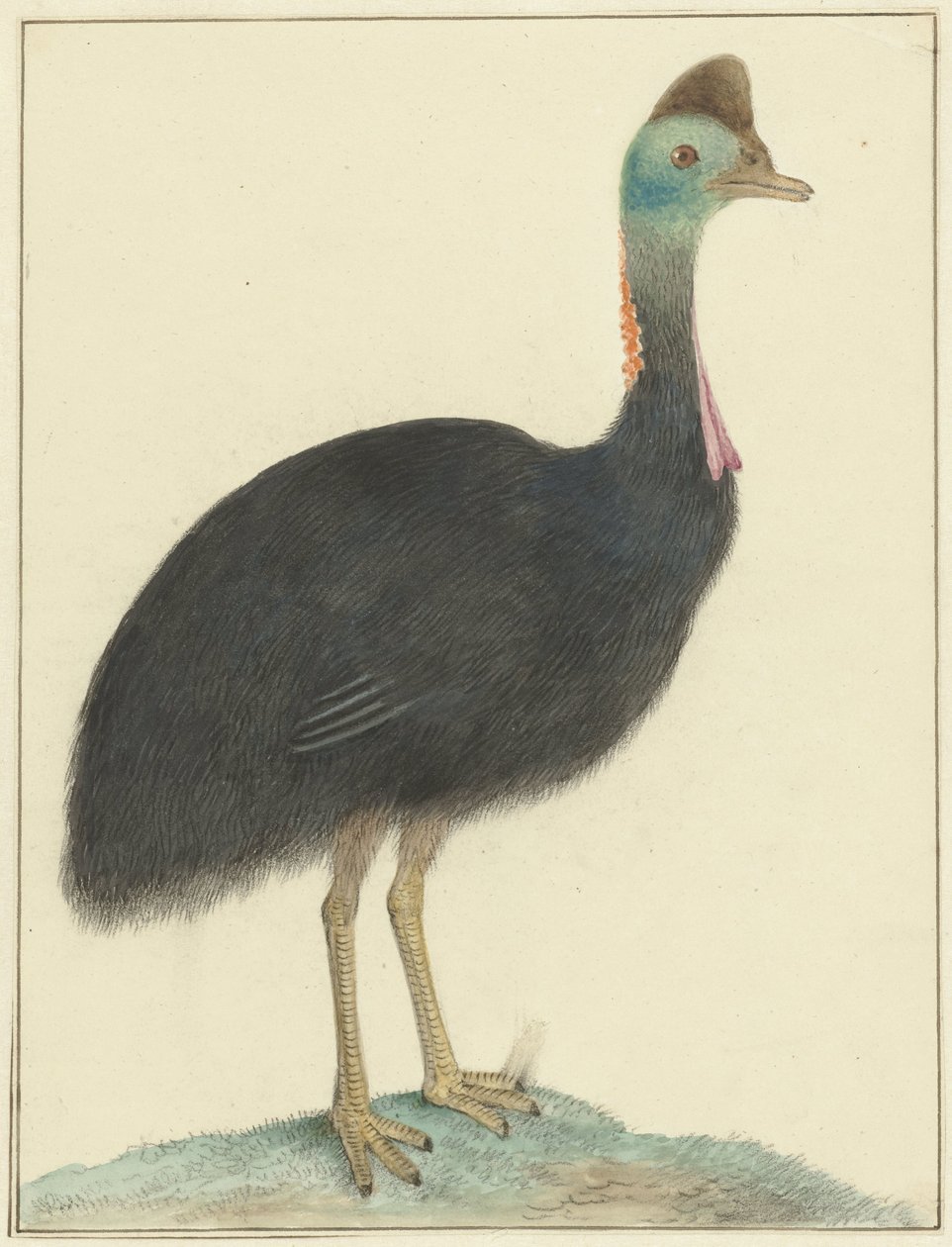 Kazuar autorstwa Isaac van Haastert