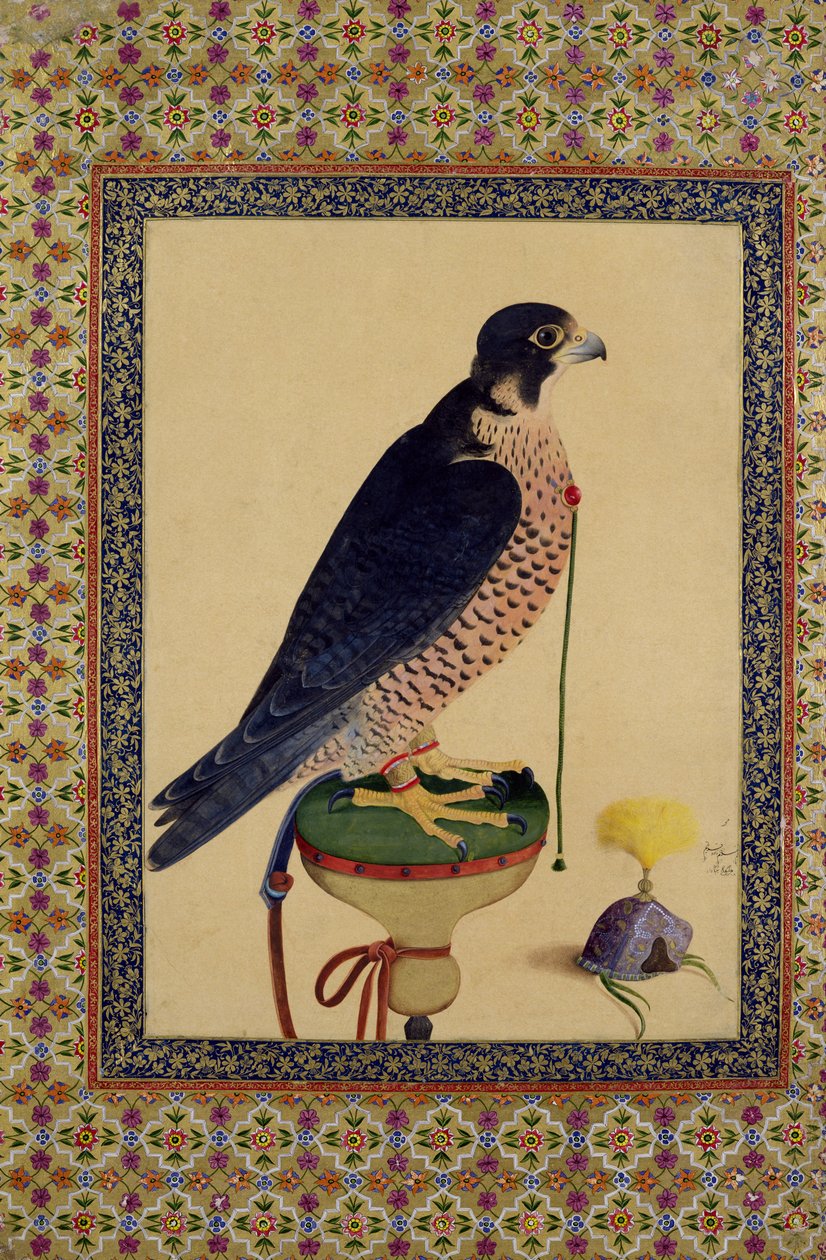 Pani E-14 Falcon, z Moraqqa autorstwa Islamic School