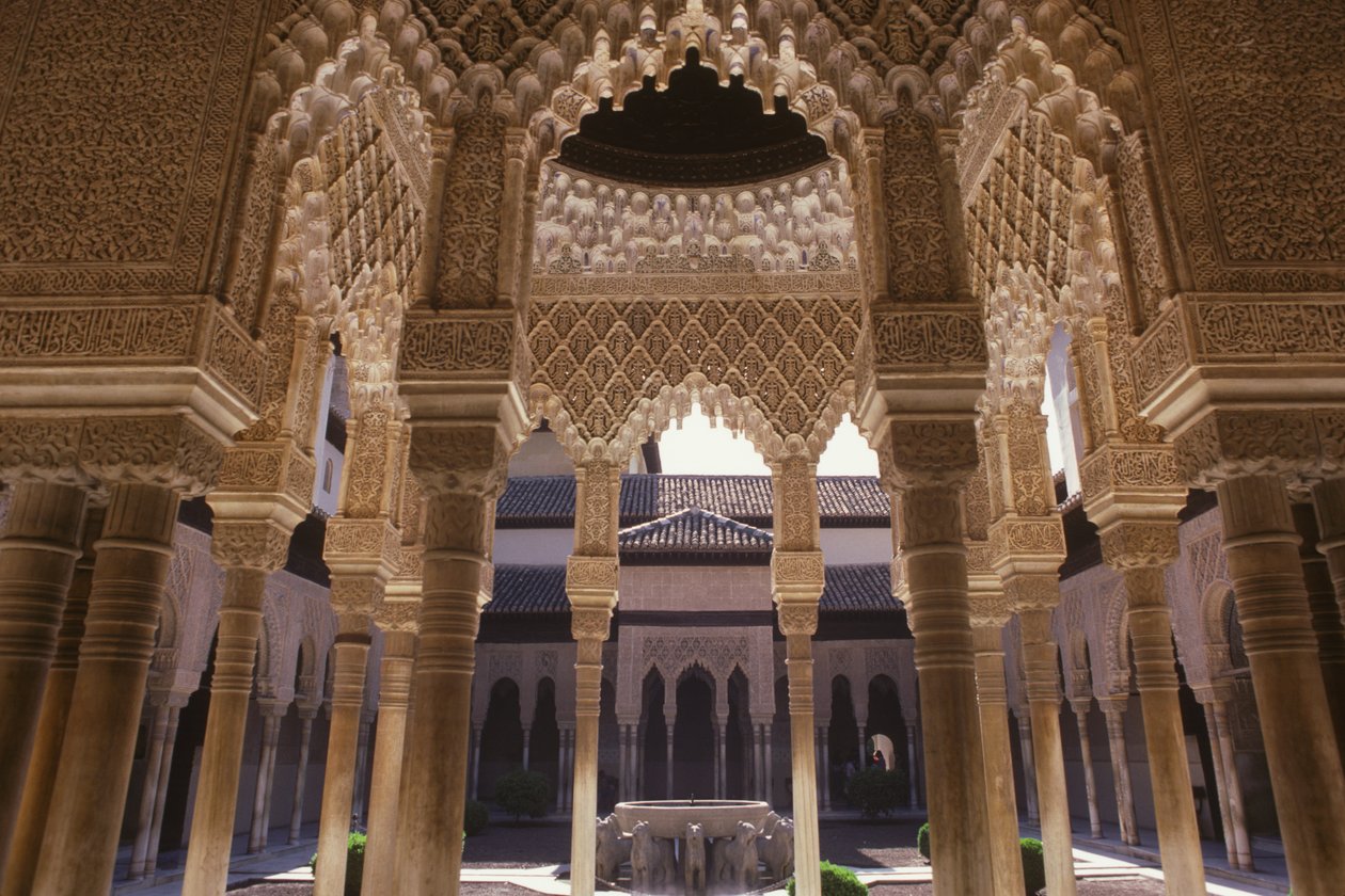 Dwór Lwów autorstwa Islamic School