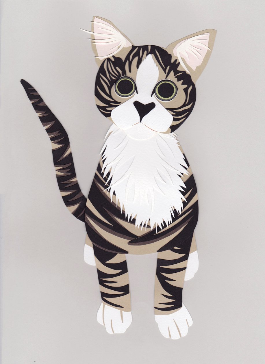 Pussycat, 2016 (papier) autorstwa Isobel Barber
