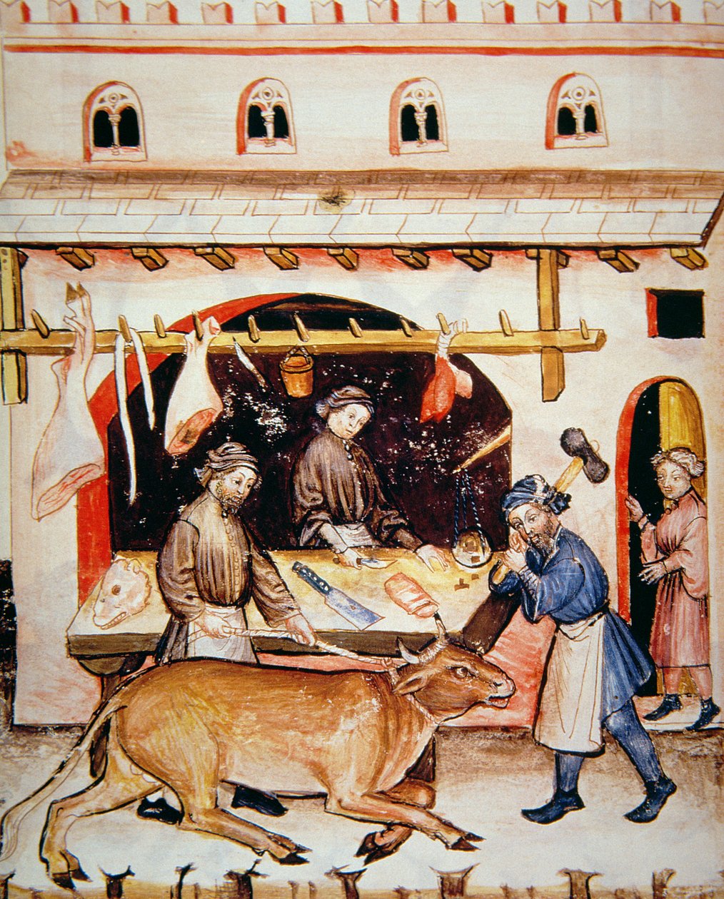 Fol.73v Rzeźnicy: Cielęcina, ilustracja z Tacuinum Santiatis Codex Vindobonensis autorstwa Italian School