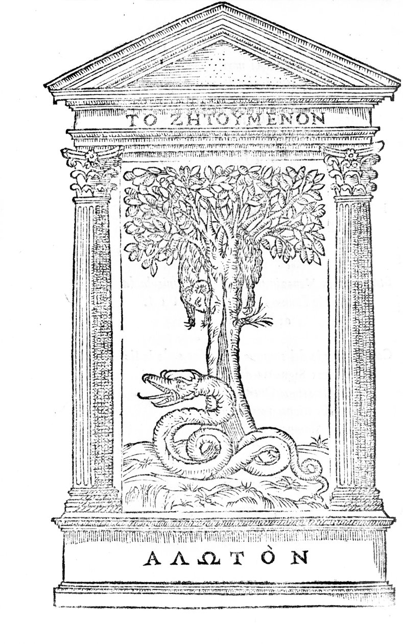 Ilustracja z 