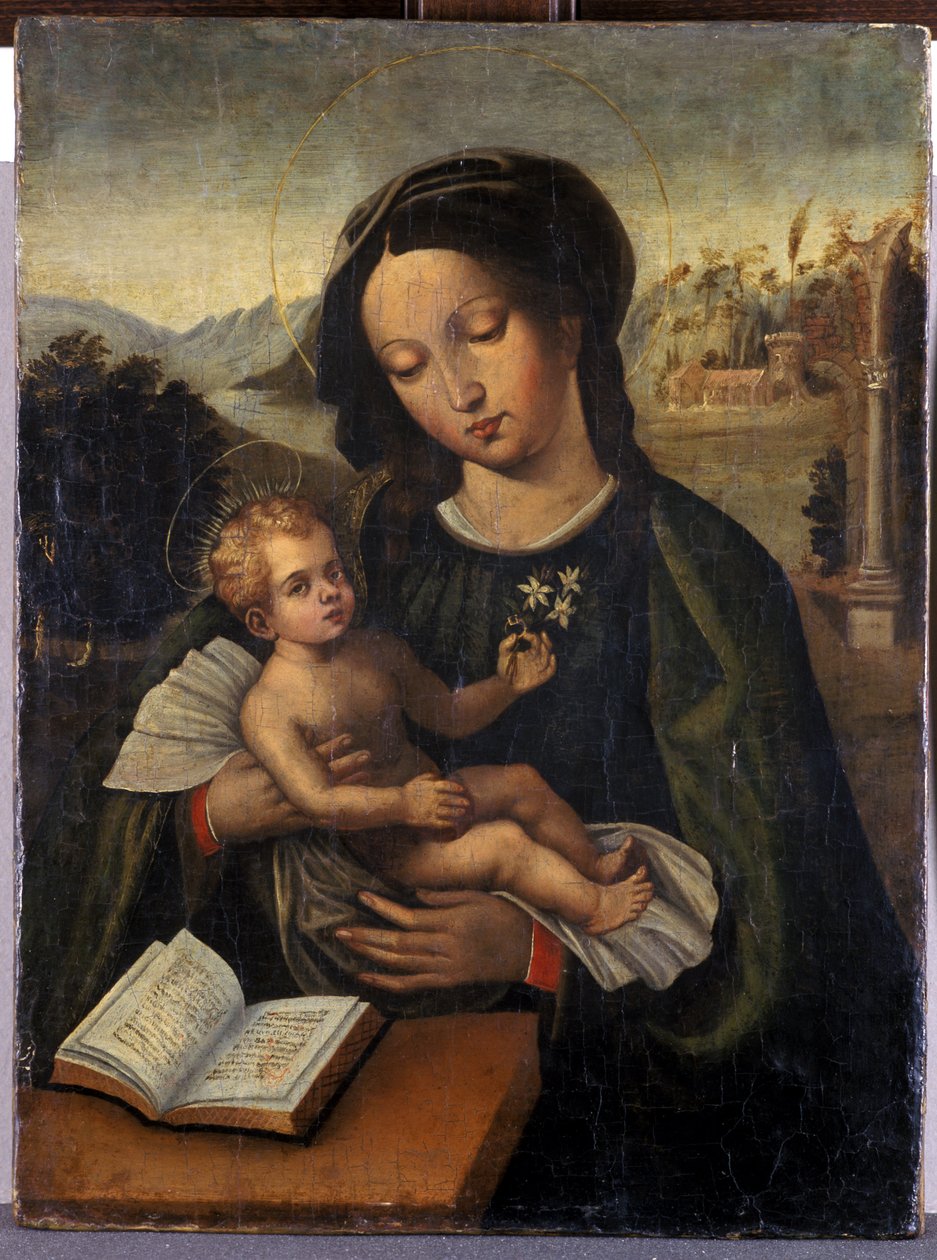 Madonna z Dzieciątkiem (temperament na drewnie) autorstwa Italian School
