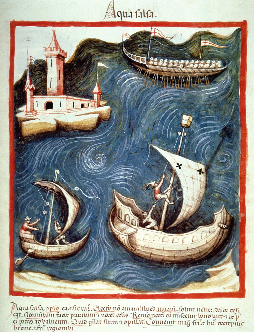 Nova 2644 f.88r Łodzie na morzu, ilustracja z Tacuinum Santiatis Codex Vindobonensis autorstwa Italian School