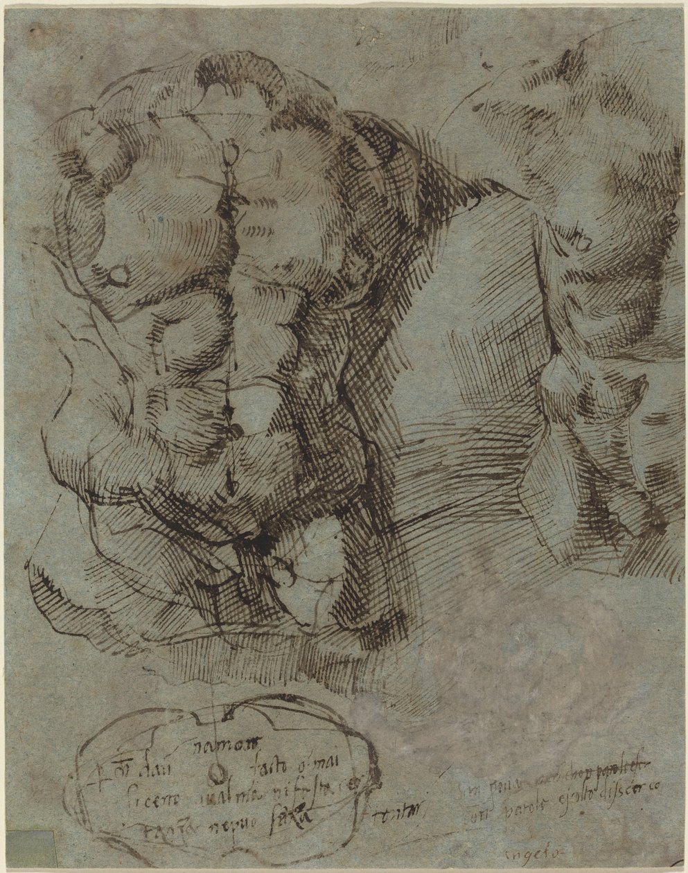 Badania męskiego torsu autorstwa Italian 16th Century