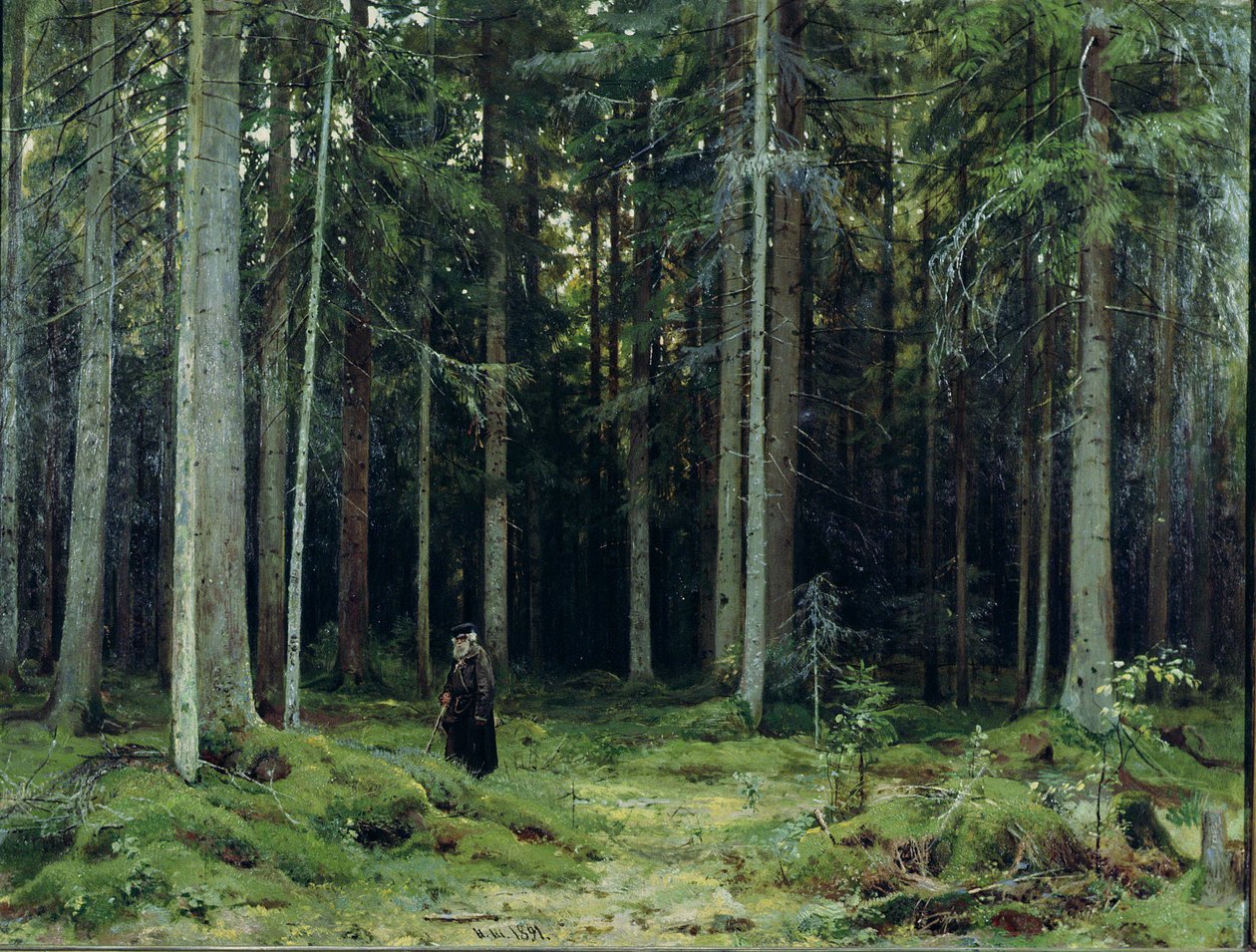 Las hrabiny Mordwinowa, 1891 autorstwa Ivan Ivanovich Shishkin