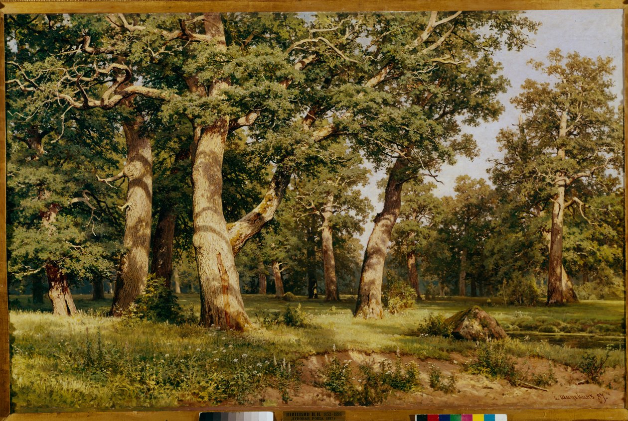 Gaj Dębowy, 1887 autorstwa Ivan Ivanovich Shishkin