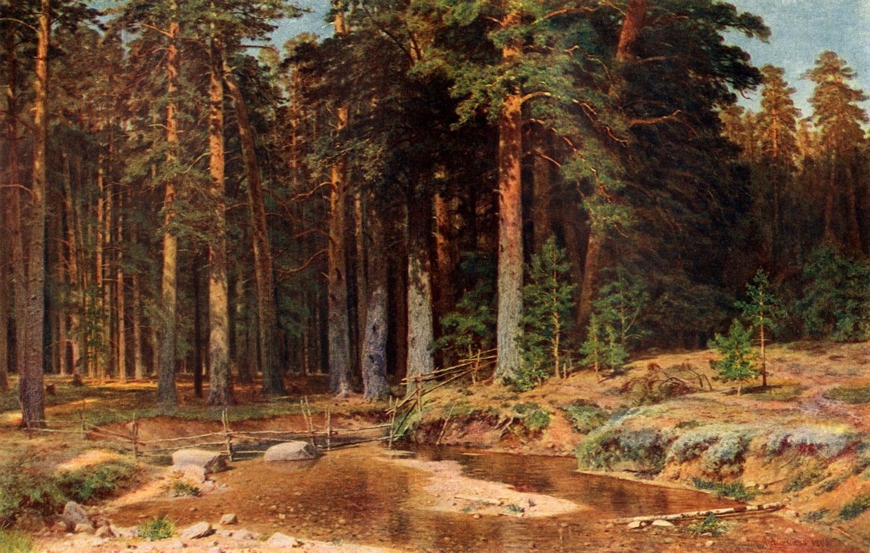 Gaj sosnowy, 1898, 1939. autorstwa Ivan Ivanovich Shishkin