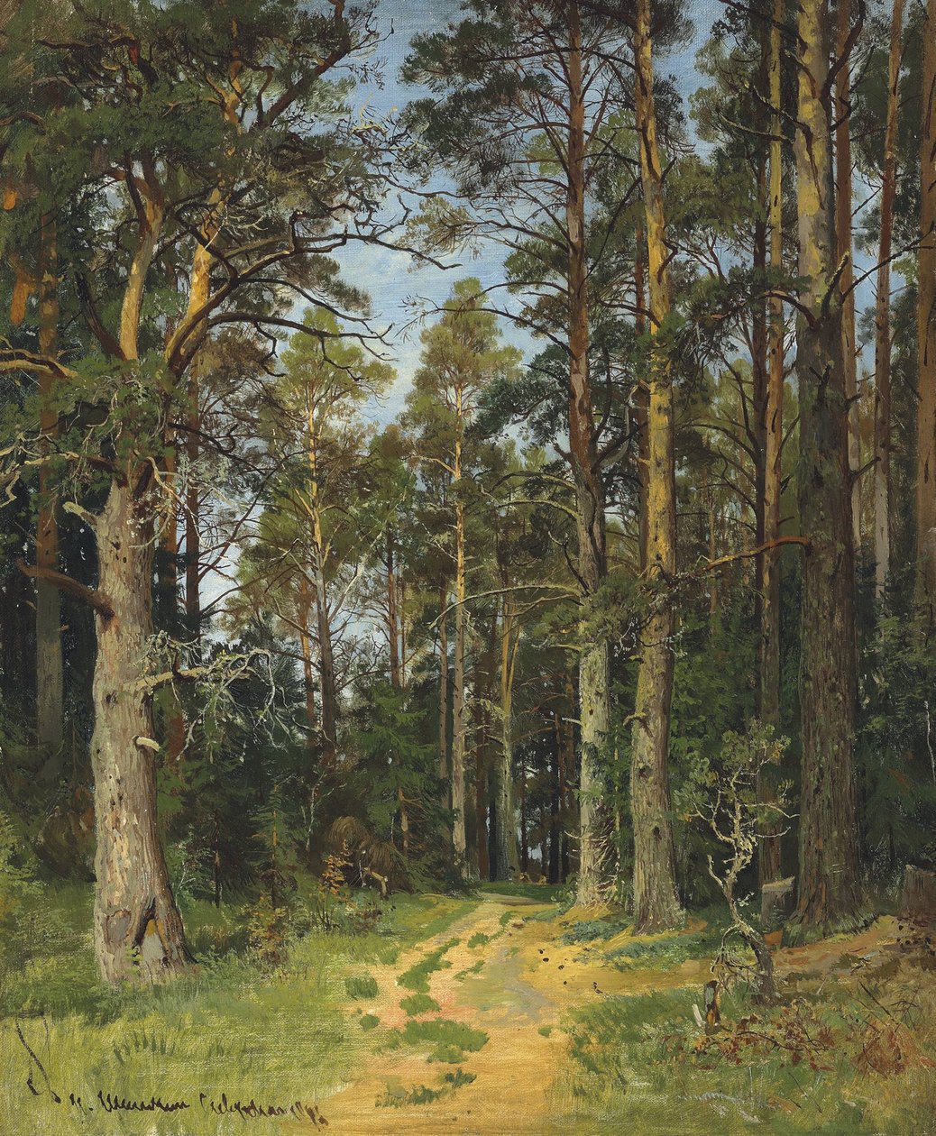 Siewierskaja, 1896. autorstwa Ivan Ivanovich Shishkin