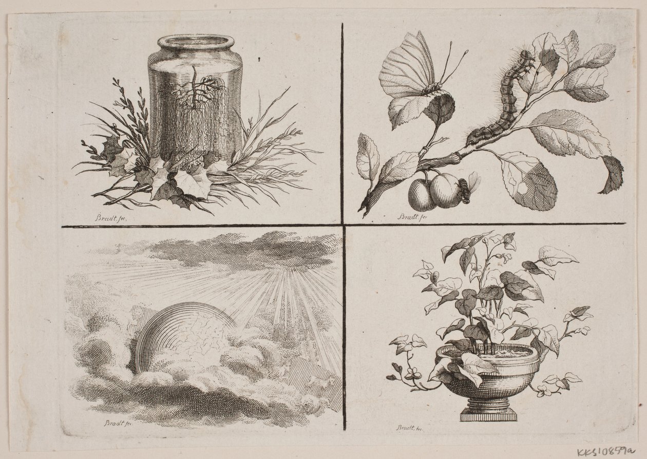 Winiety do prac Bonneta autorstwa J.F. Clemens
