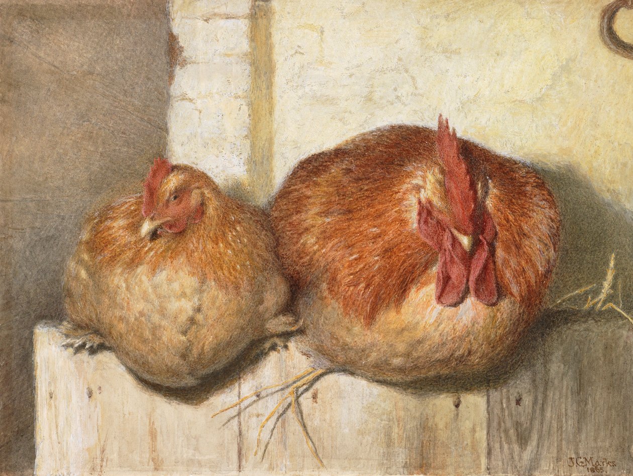 Forty Winks, 1865 (wc na papierze) autorstwa J.G. Marks