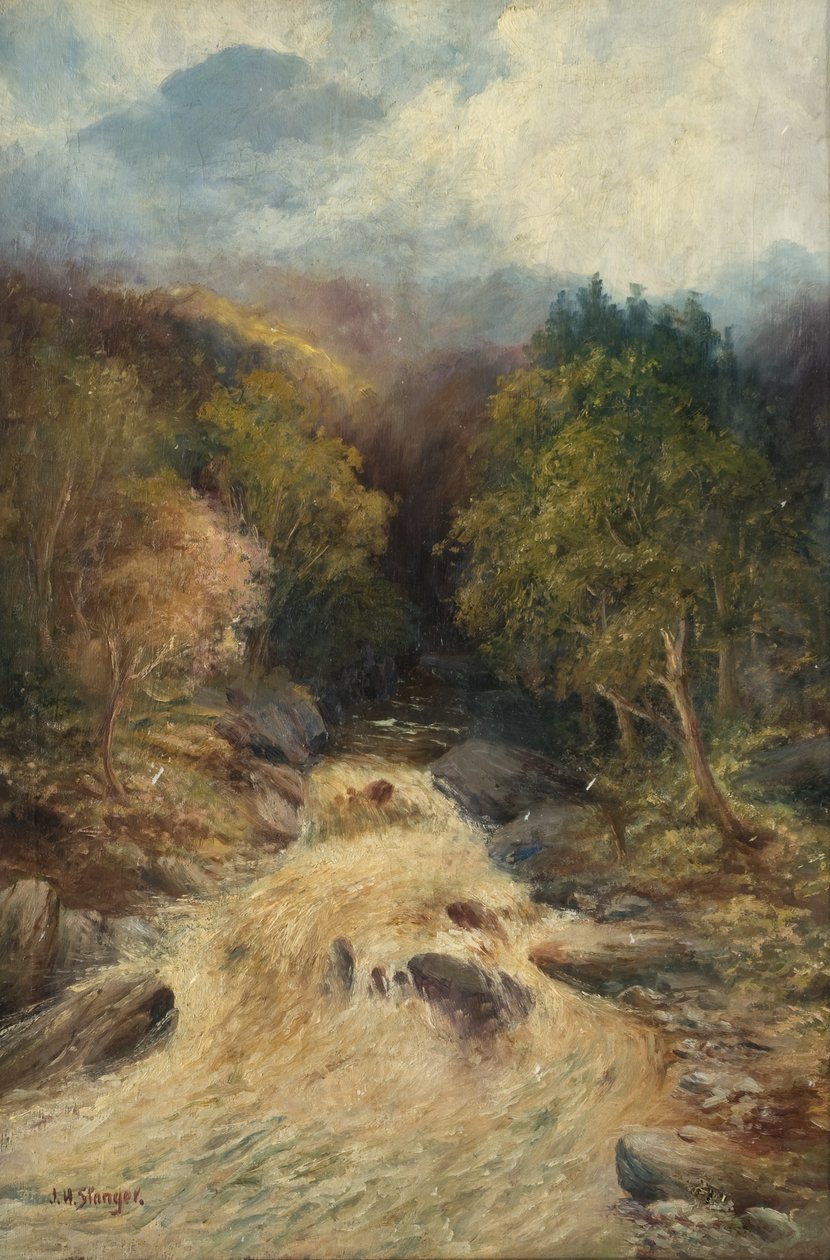 Las górski autorstwa J.H. Stanger