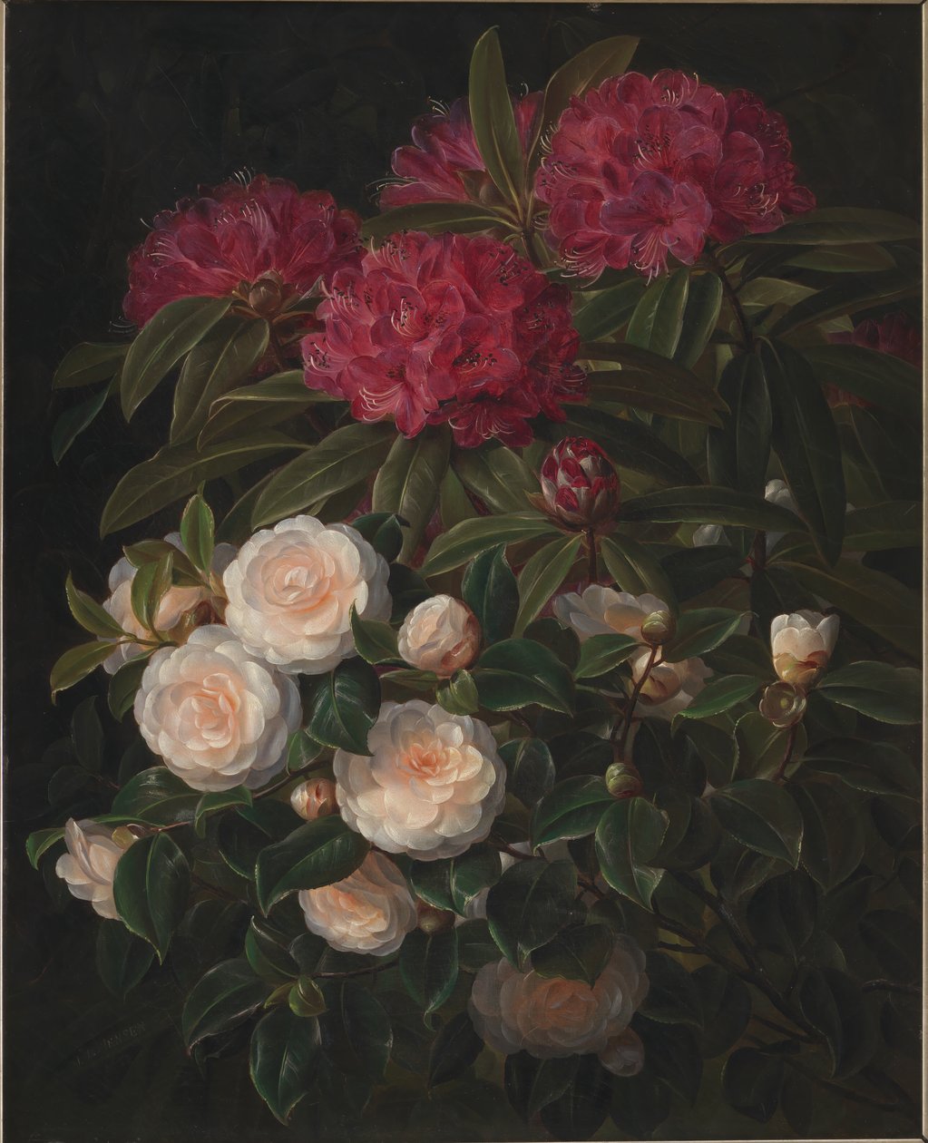 Kamelie i rododendrony autorstwa J.L. Jensen