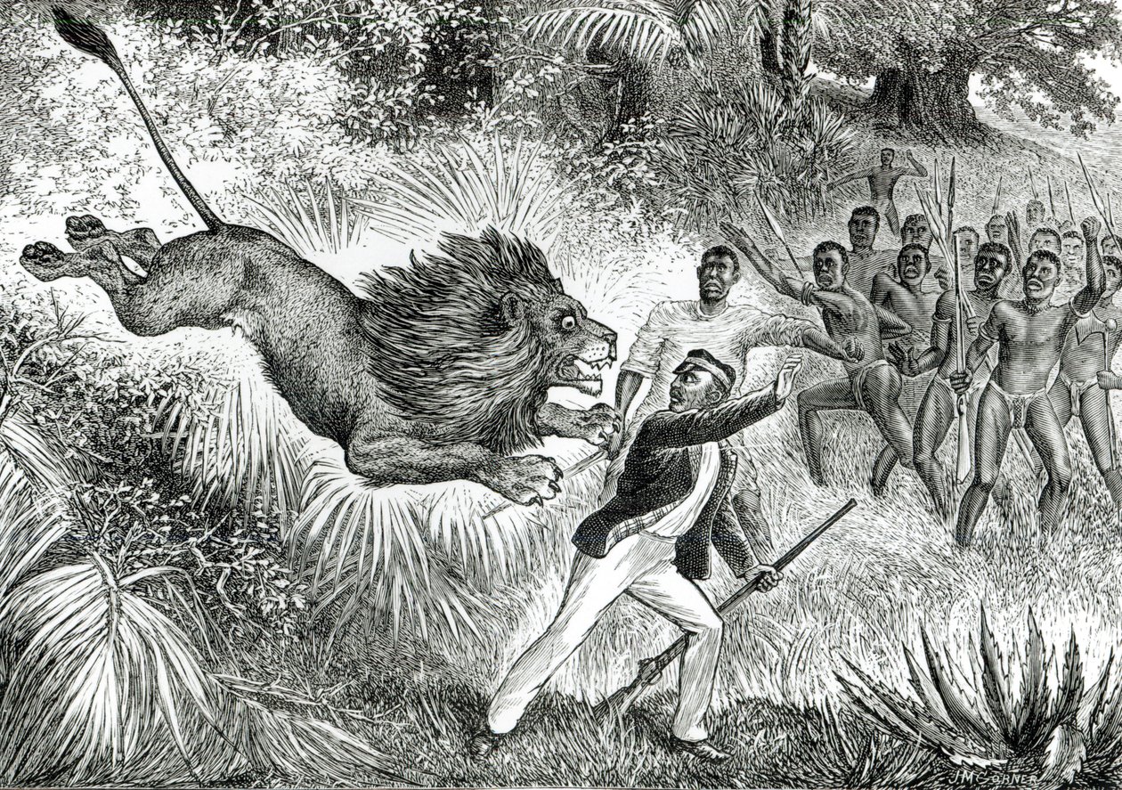 Livingstone zaatakowany przez lwa (bw zdjęcie) autorstwa J.M. Cobner