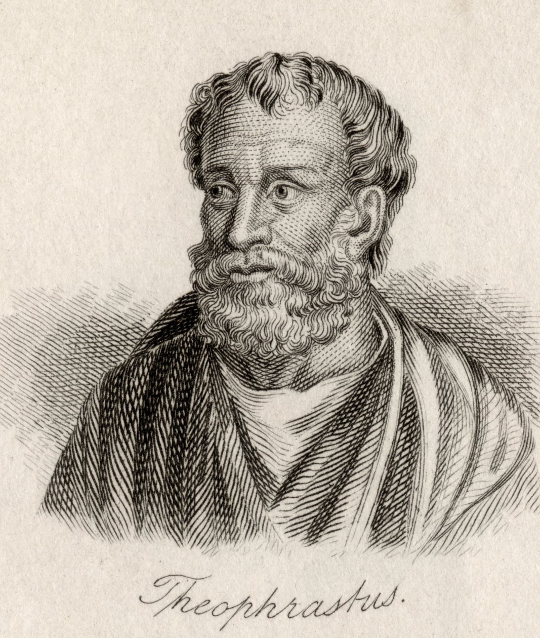 Theophrastus autorstwa J.W. Cook