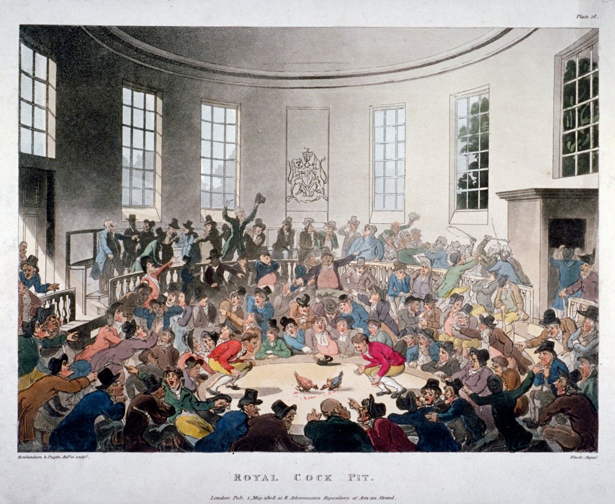 „Królewska jama kogutów”, 1808 r. autorstwa J Bluck