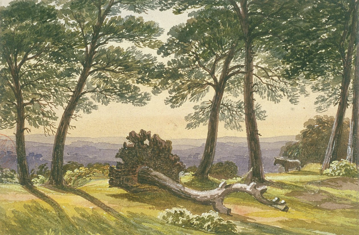 Hampstead Heath, Londyn, ok. 1830 r. autorstwa J Powell