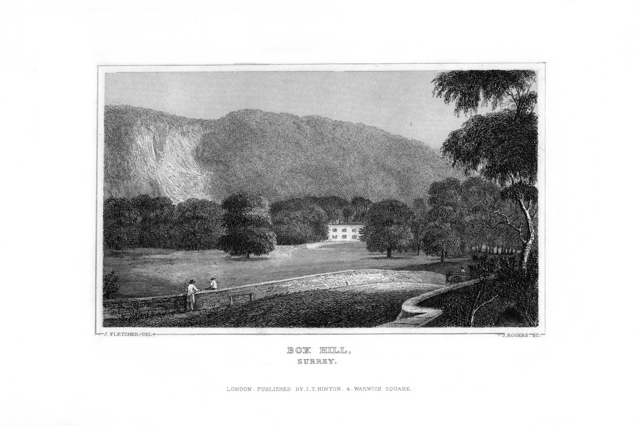 Box Hill, Surrey, 1829. autorstwa J. Rogers