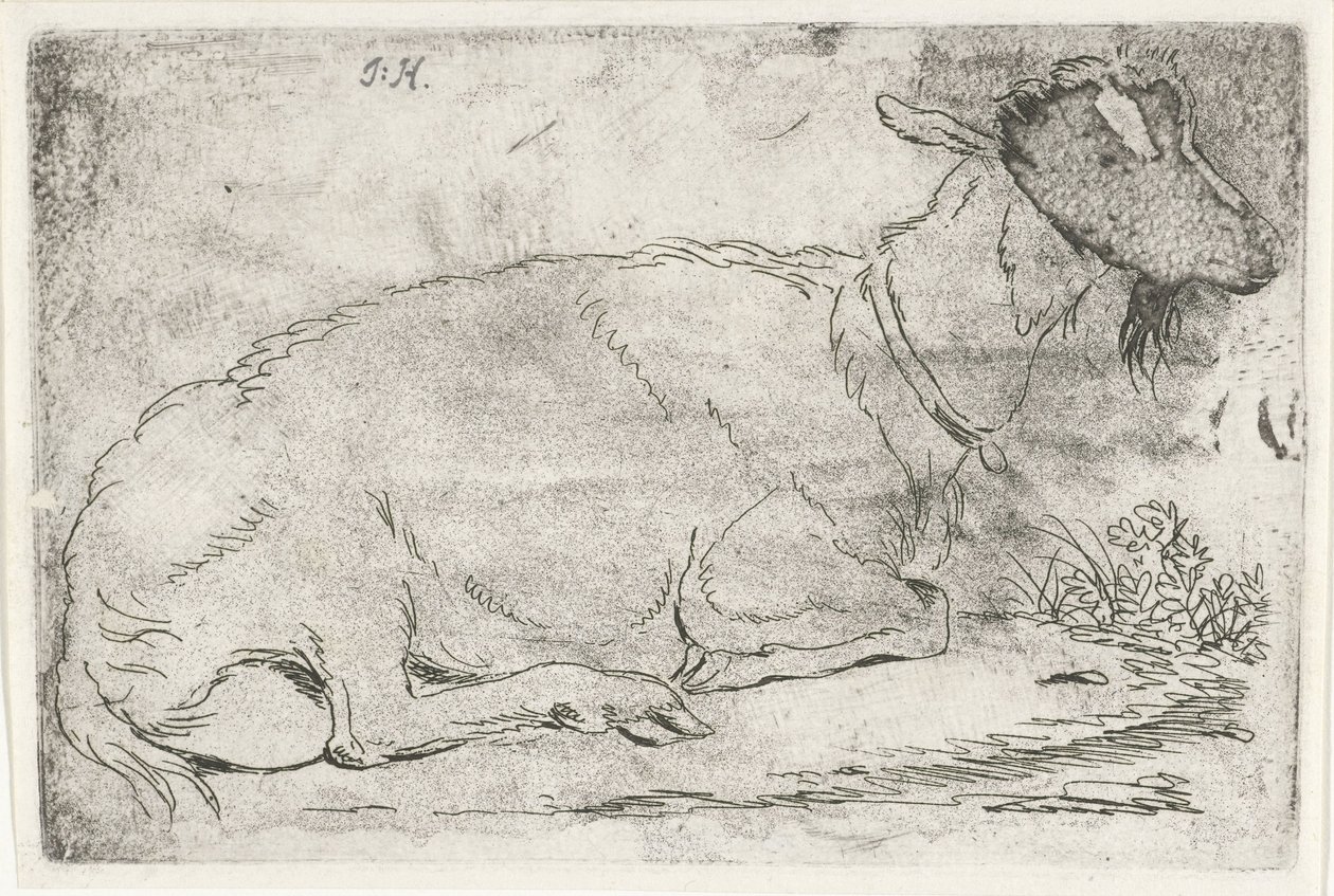 leżąca koza autorstwa Jabes Heenck (signed by artist)