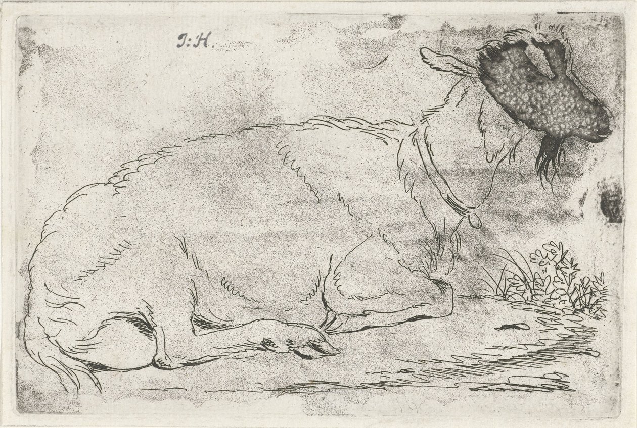 leżąca koza autorstwa Jabes Heenck (signed by artist)