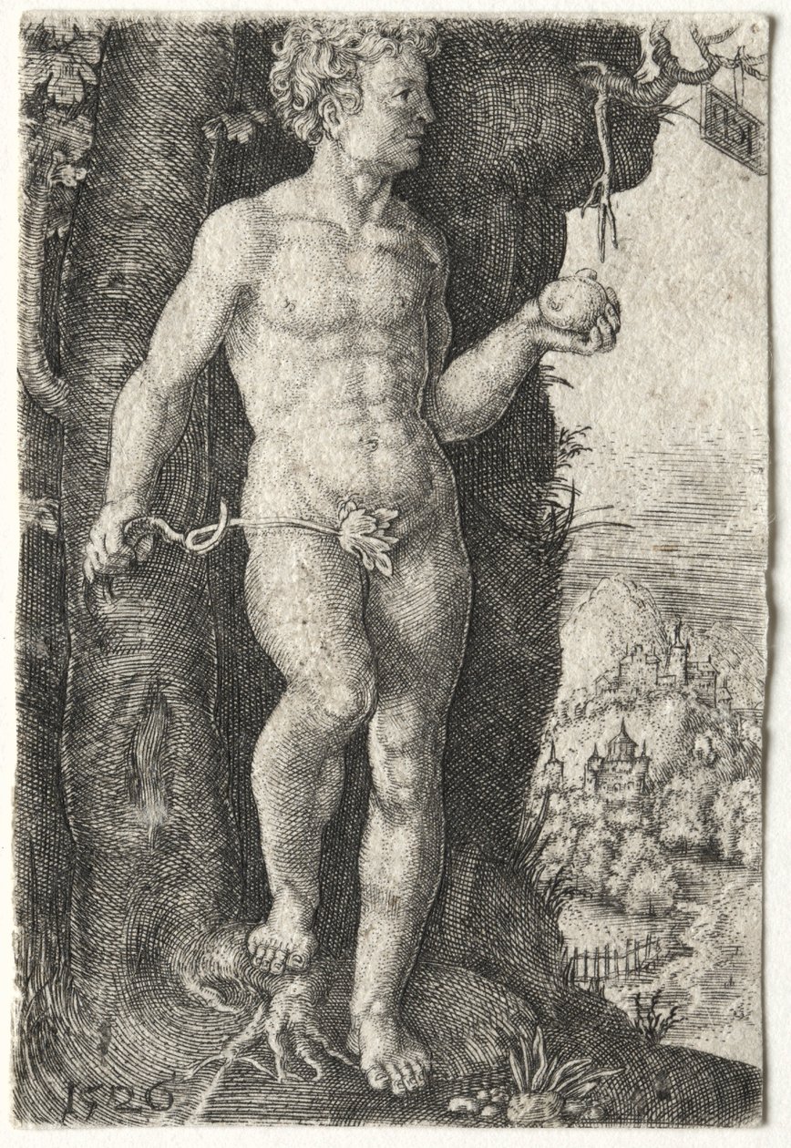 Adam, 1526. autorstwa Jacob Binck