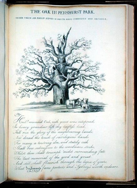 Dąb w Penshurst Park autorstwa Jacob George Strutt