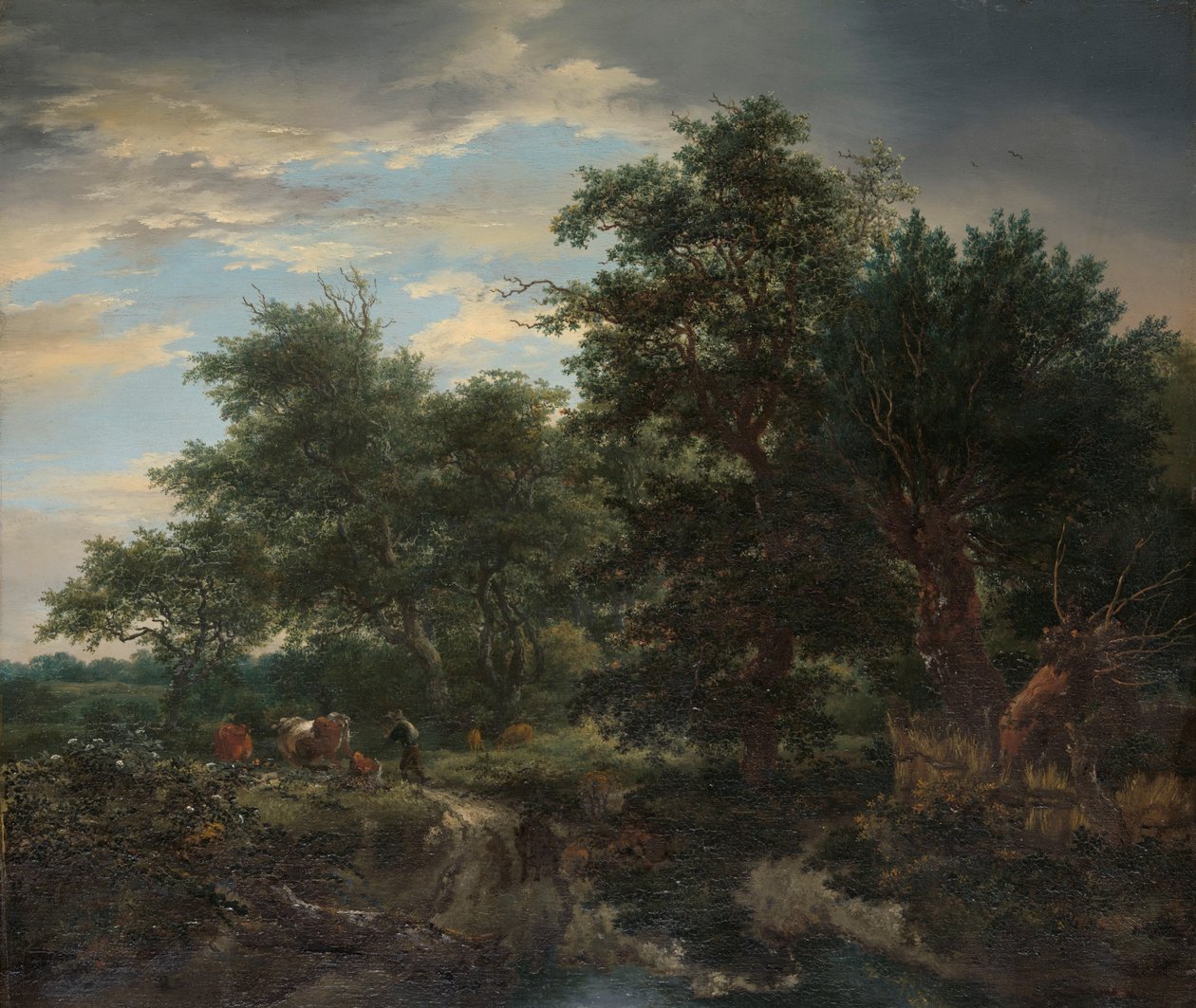 Scena leśna autorstwa Jacob van Ruisdael