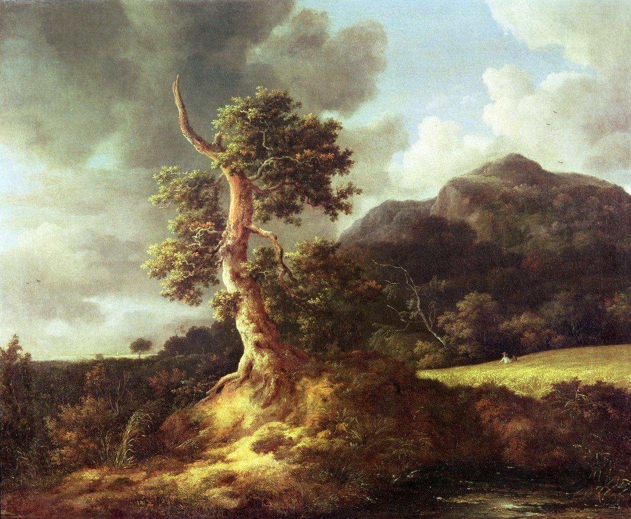 Nieznany obraz autorstwa Jacob van Ruisdael