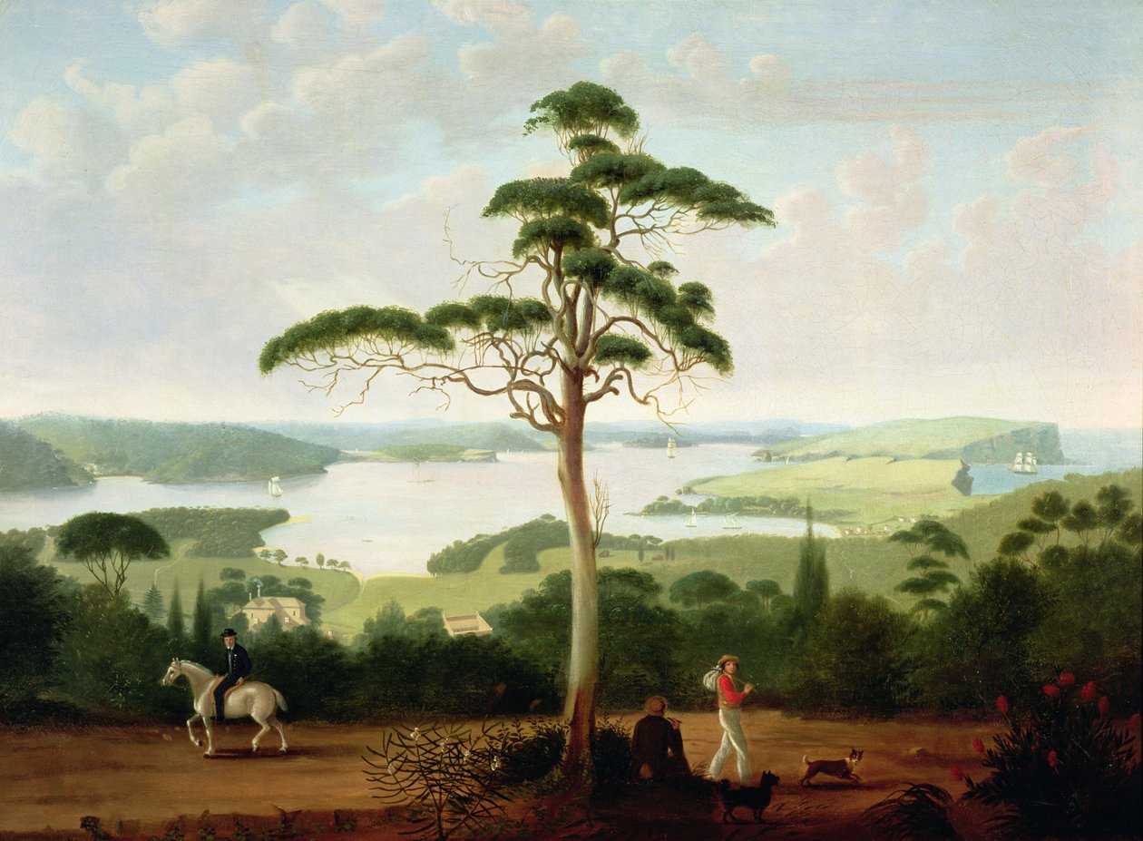 Sydney Harbour patrząc w kierunku Heads, 1848 autorstwa Jacob Janssen