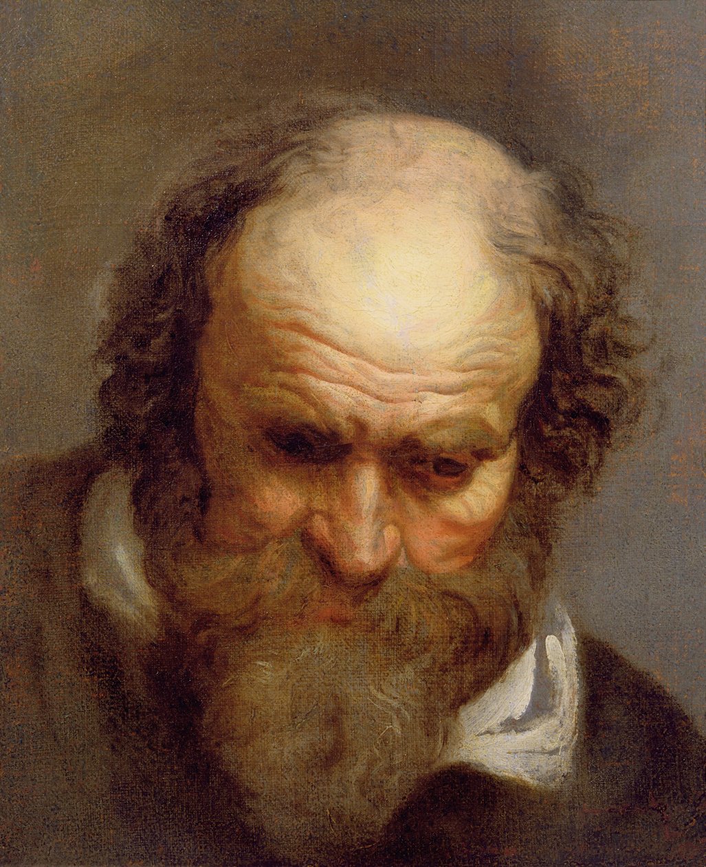 Głowa starego człowieka autorstwa Jacob Jordaens