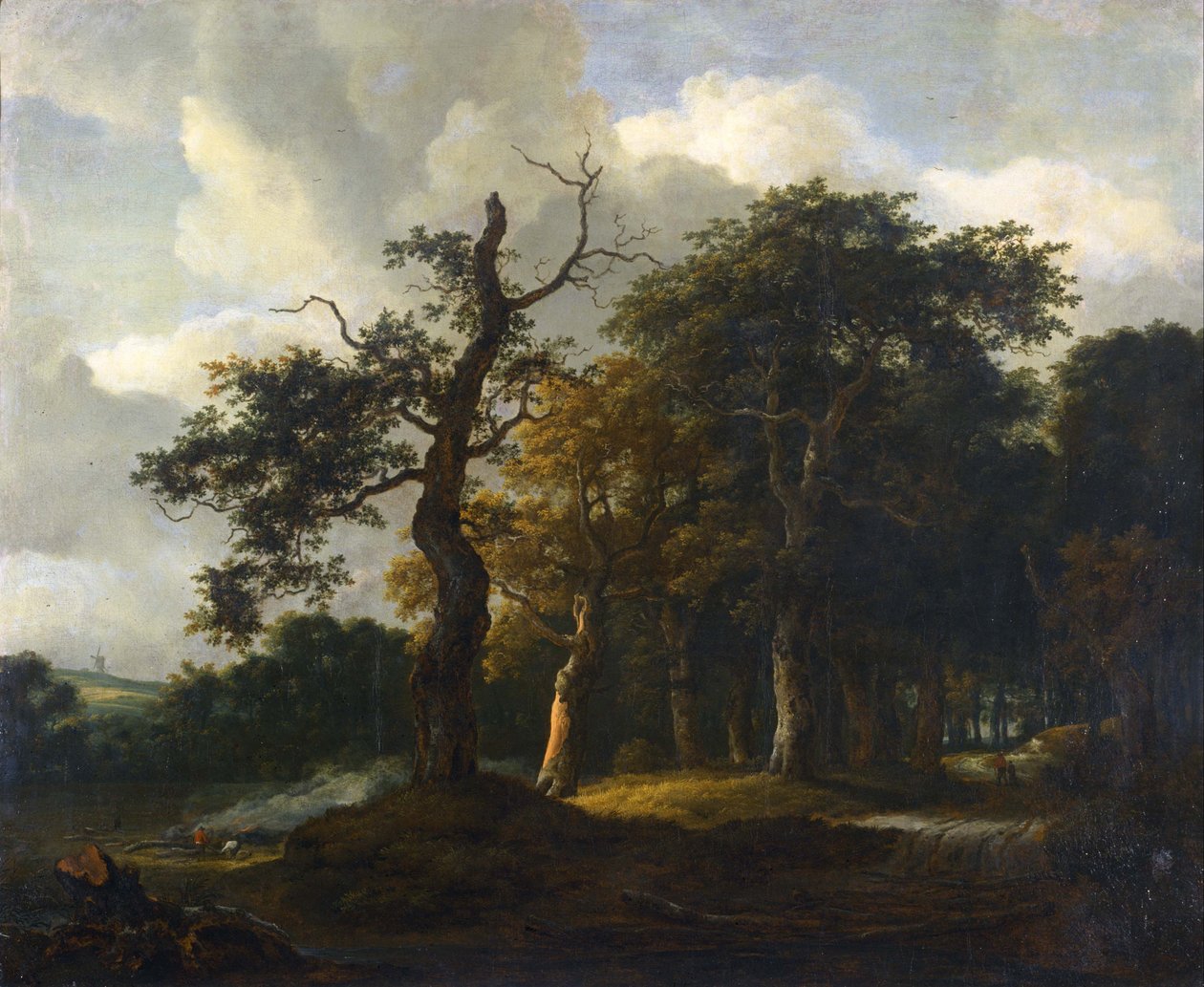 Dębowe ścieżki leśne autorstwa Jacob van Ruisdael