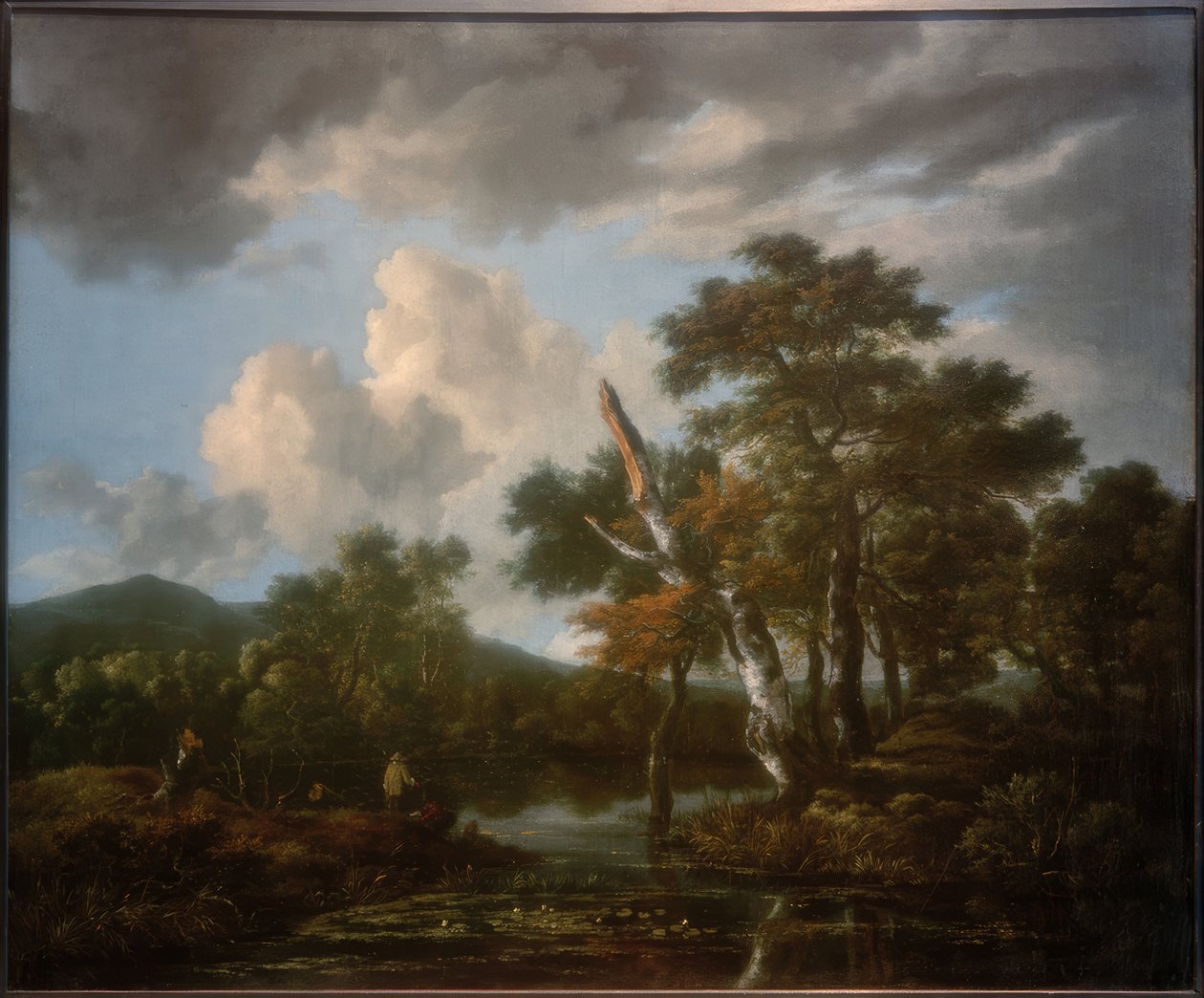 Krajobraz leśny z oczkiem wodnym autorstwa Jacob van Ruisdael