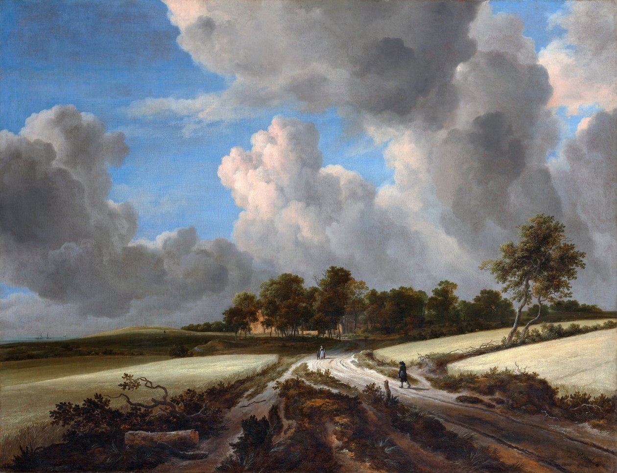 Pola pszenicy autorstwa Jacob van Ruisdael