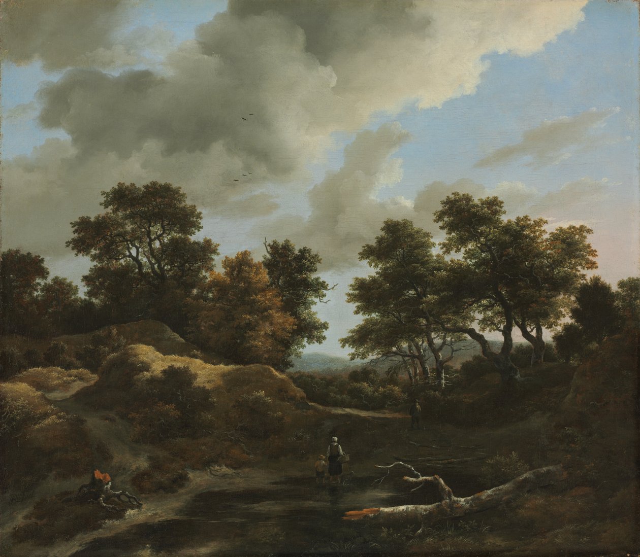 Zalesiony i pagórkowaty krajobraz autorstwa Jacob van Ruisdael