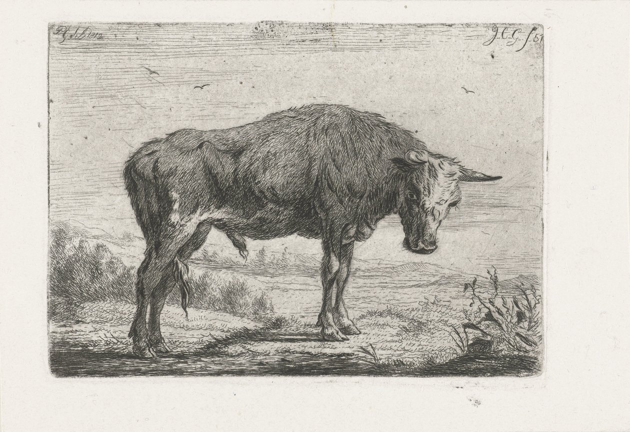 stojący byk autorstwa Jacobus Cornelis Gaal