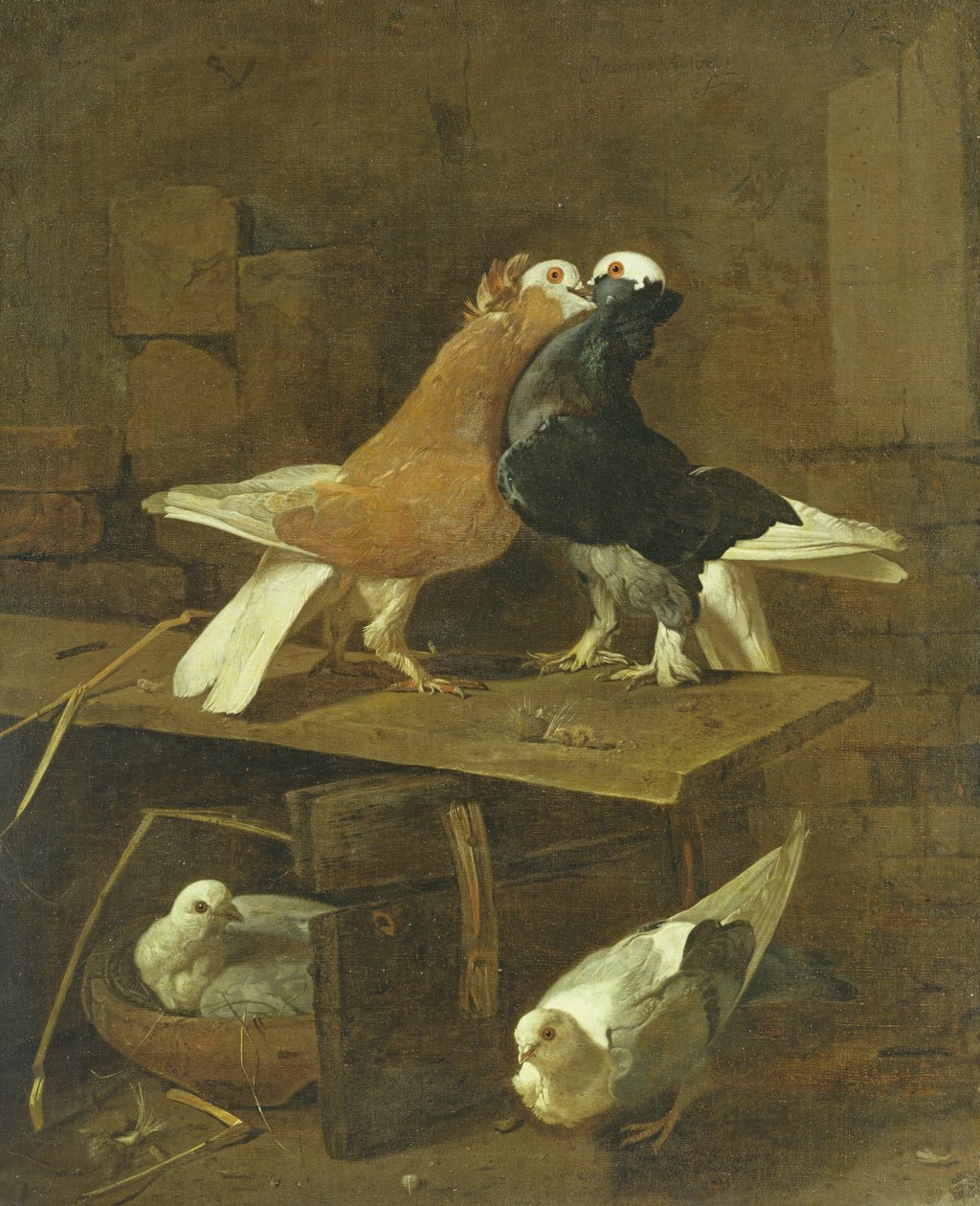 Gołębie autorstwa Jacomo Victors
