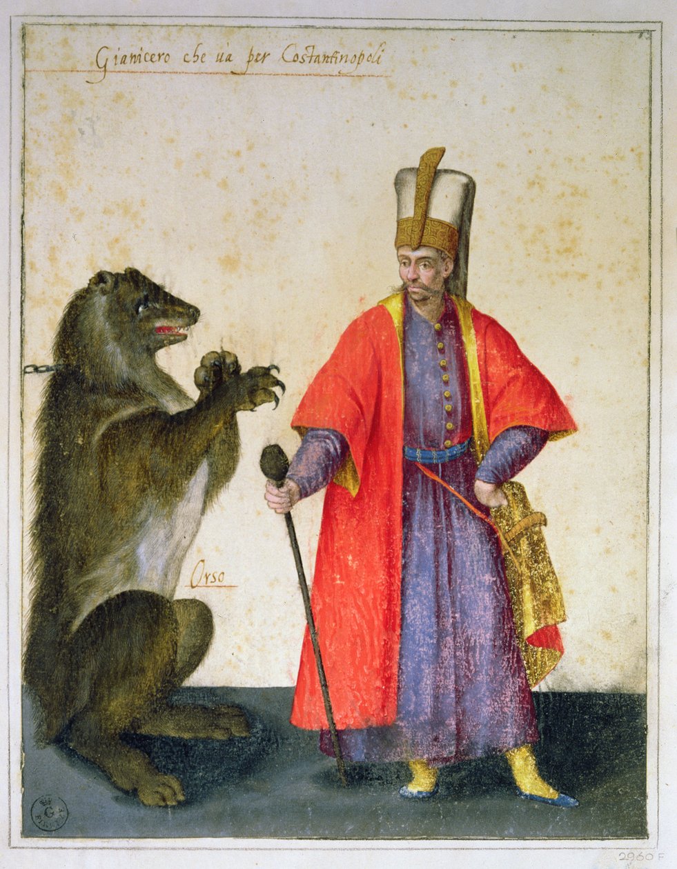 Janczar (pióro i atrament z wc na papierze) autorstwa Jacopo Ligozzi